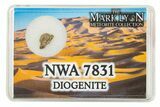 Diogenite Meteorite Fragment with Case - NWA 7831 - Photo 2